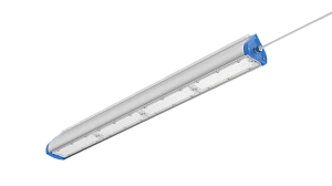 Torrent 2, 4 Cell